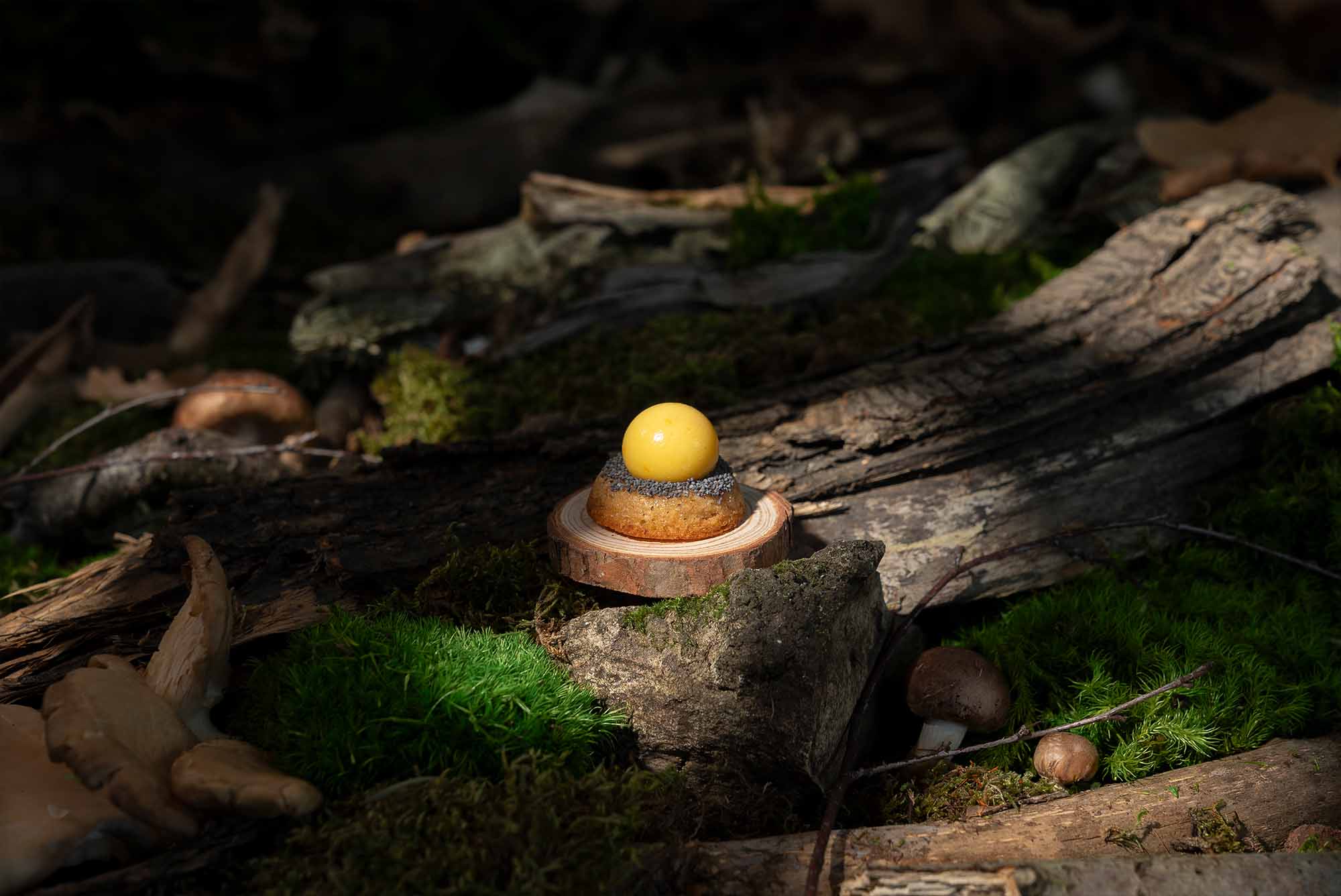 Set design avec un univers de forêt pour la pièce bille de mandarine de Saveurs Cristal.