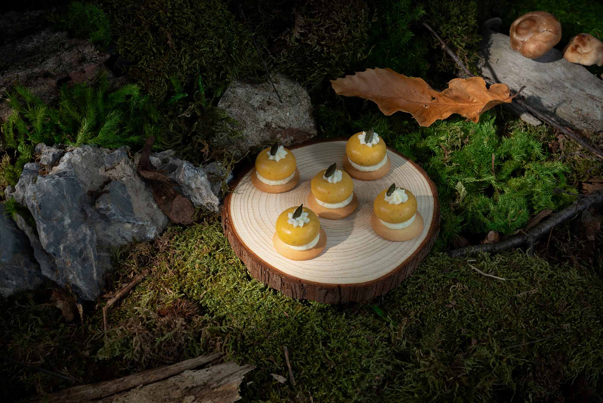 Set design avec un univers de forêt pour la pièce butternut de Saveurs Cristal.